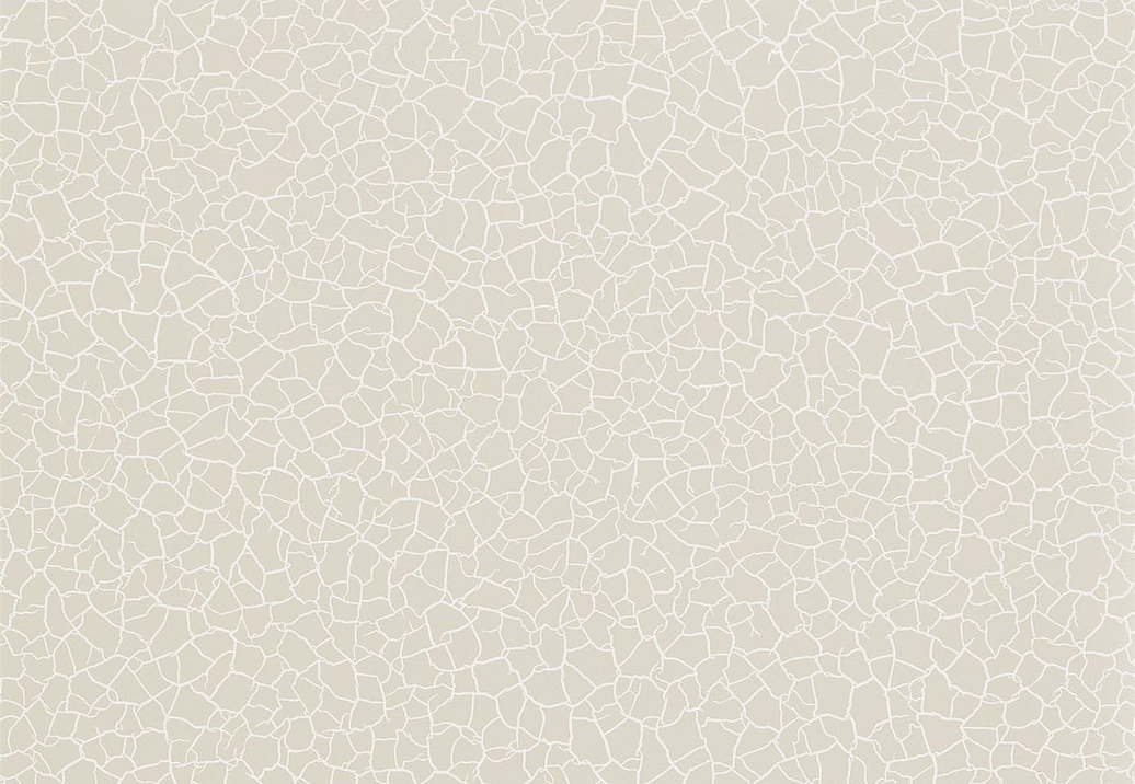 Обои Zoffany Akaishi 312526