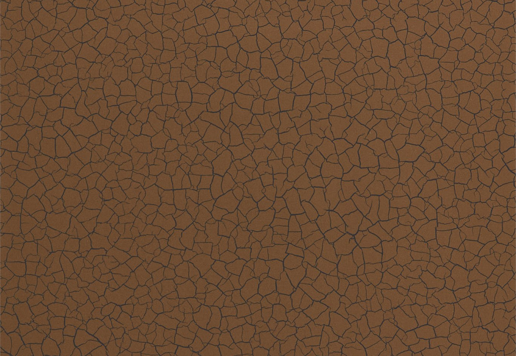 Обои Zoffany Akaishi 312530