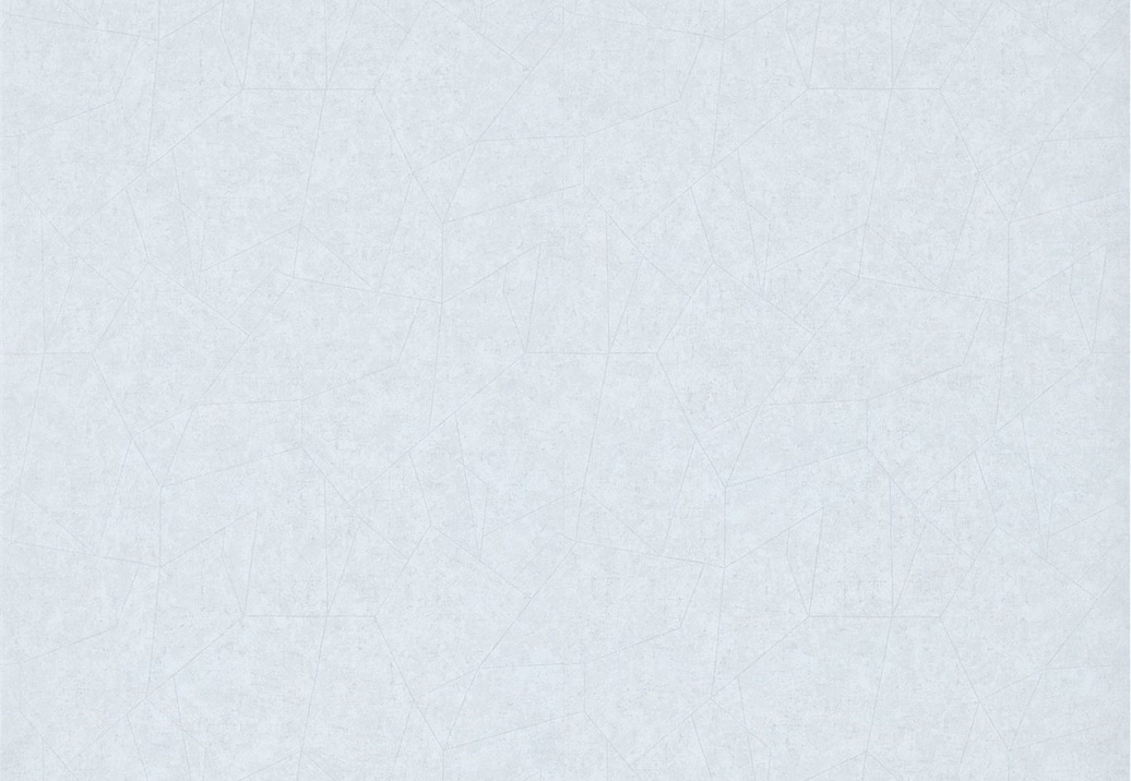 Обои Zoffany Prism Vinyls 311794