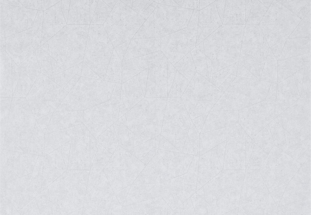 Обои Zoffany Prism Vinyls 311795