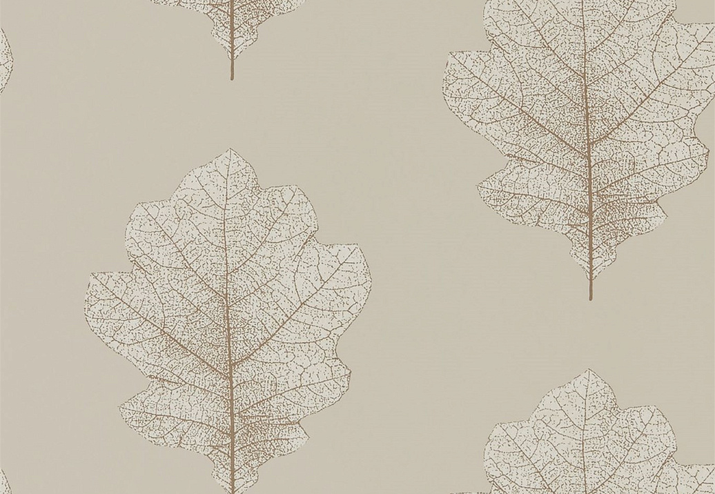 Обои Sanderson Woodland Walk 215698