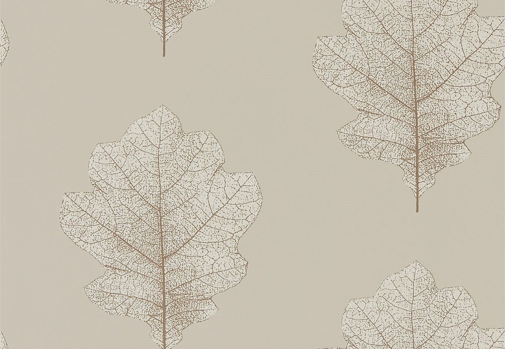 Обои Sanderson Woodland Walk 215698