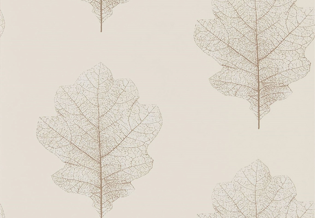 Обои Sanderson Woodland Walk 215699