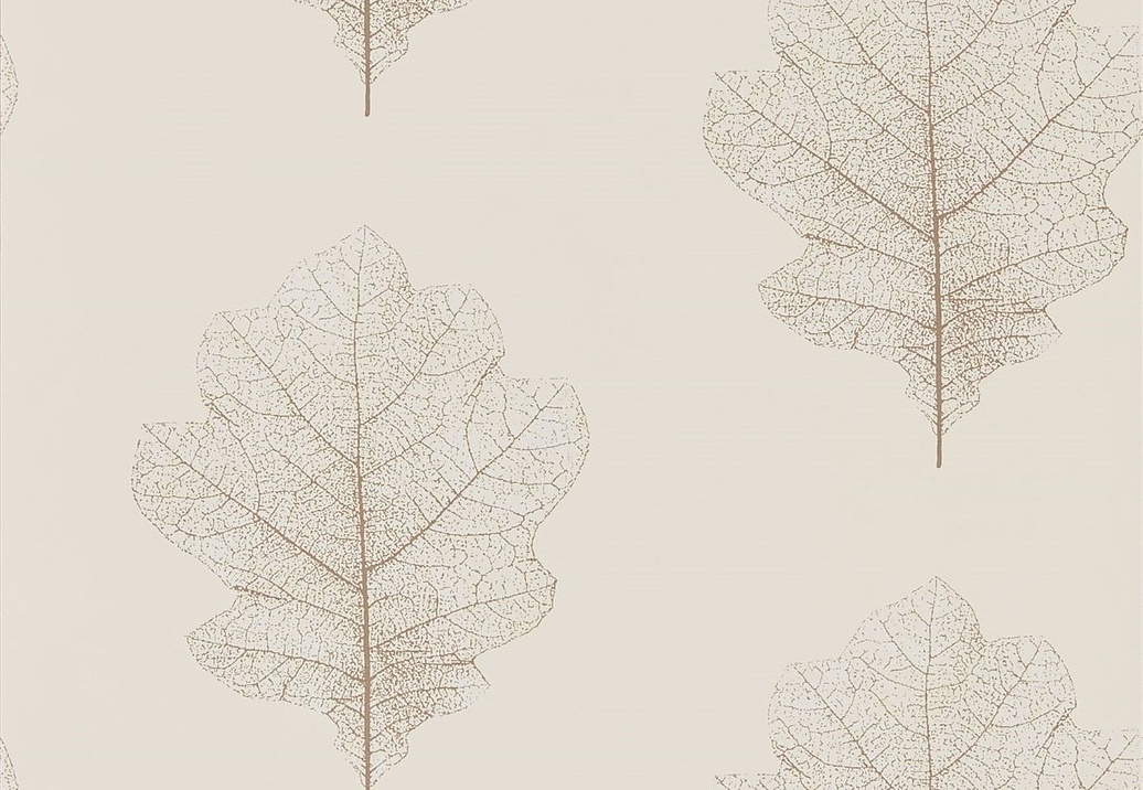 Обои Sanderson Woodland Walk 215699