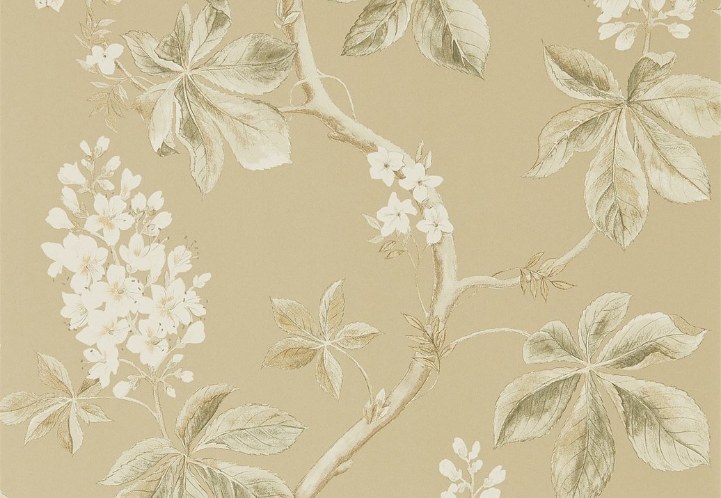 Обои Sanderson Woodland Walk 215711