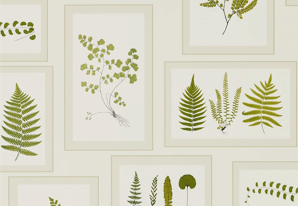 Обои Sanderson Woodland Walk 215712