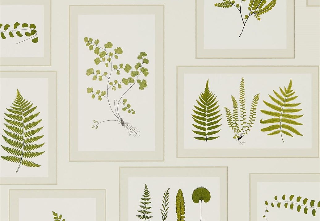Обои Sanderson Woodland Walk 215712