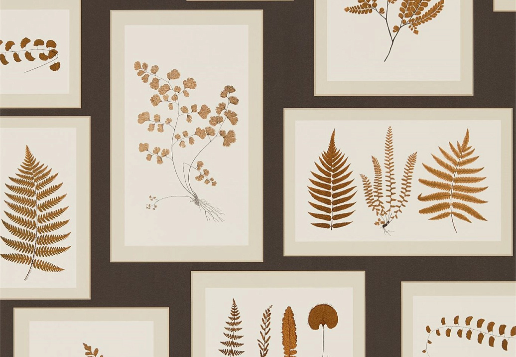 Обои Sanderson Woodland Walk 215713