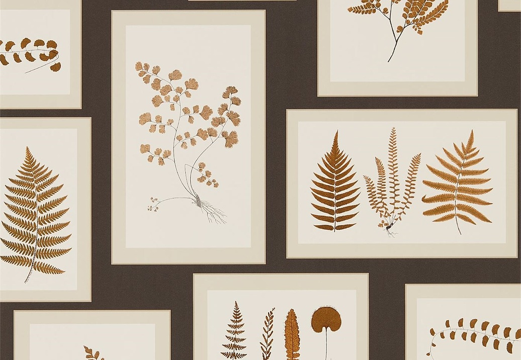 Обои Sanderson Woodland Walk 215713