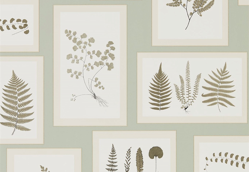 Обои Sanderson Woodland Walk 215715