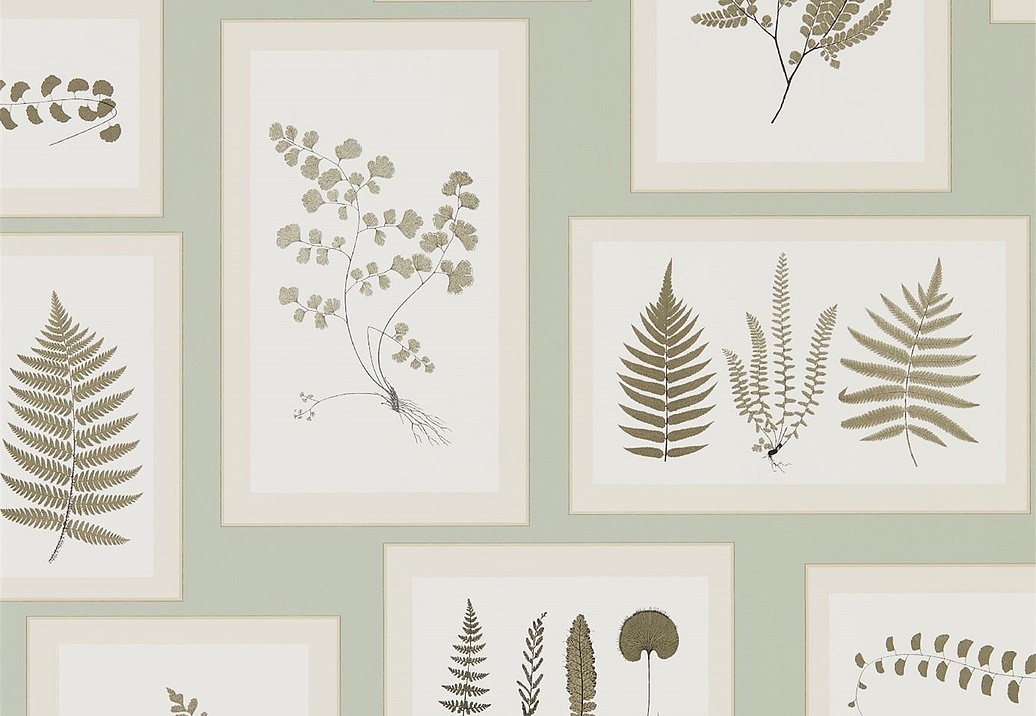Обои Sanderson Woodland Walk 215715