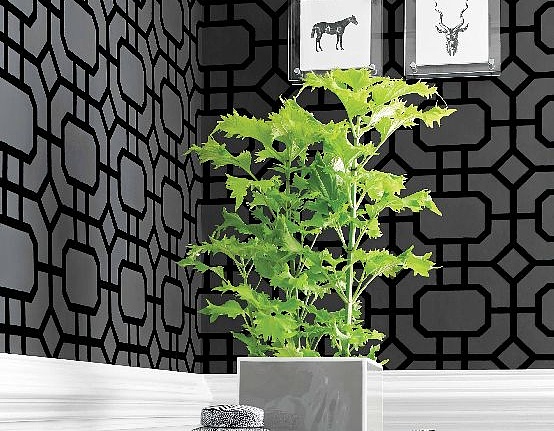 Обои Thibaut Geometric Resource II T11002