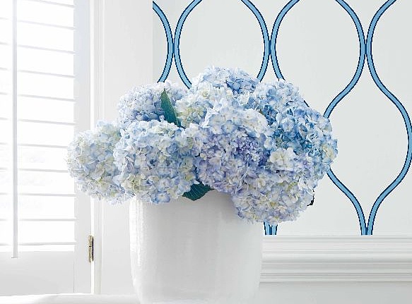Обои Thibaut Geometric Resource II T11044