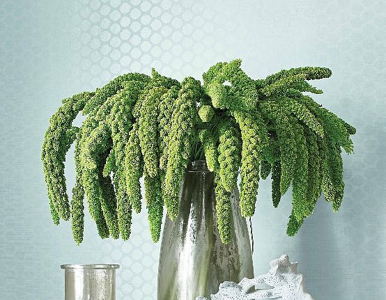Обои Thibaut Geometric Resource II T11056