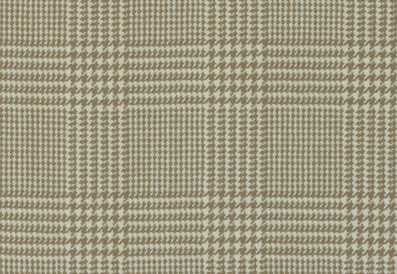 Ткань Ralph Lauren Haberdashery LFY62128F
