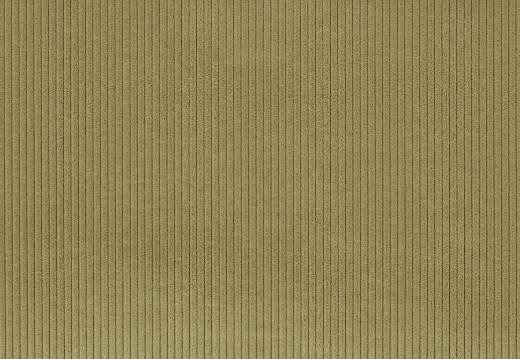 Ткань Jab Cord 1-3126-033