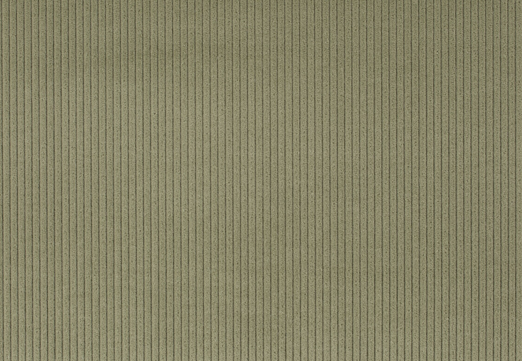 Ткань Jab Cord 1-3126-032