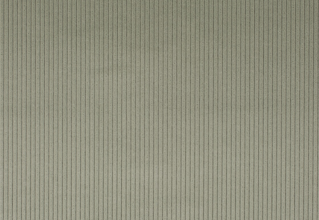Ткань Jab Cord 1-3126-031