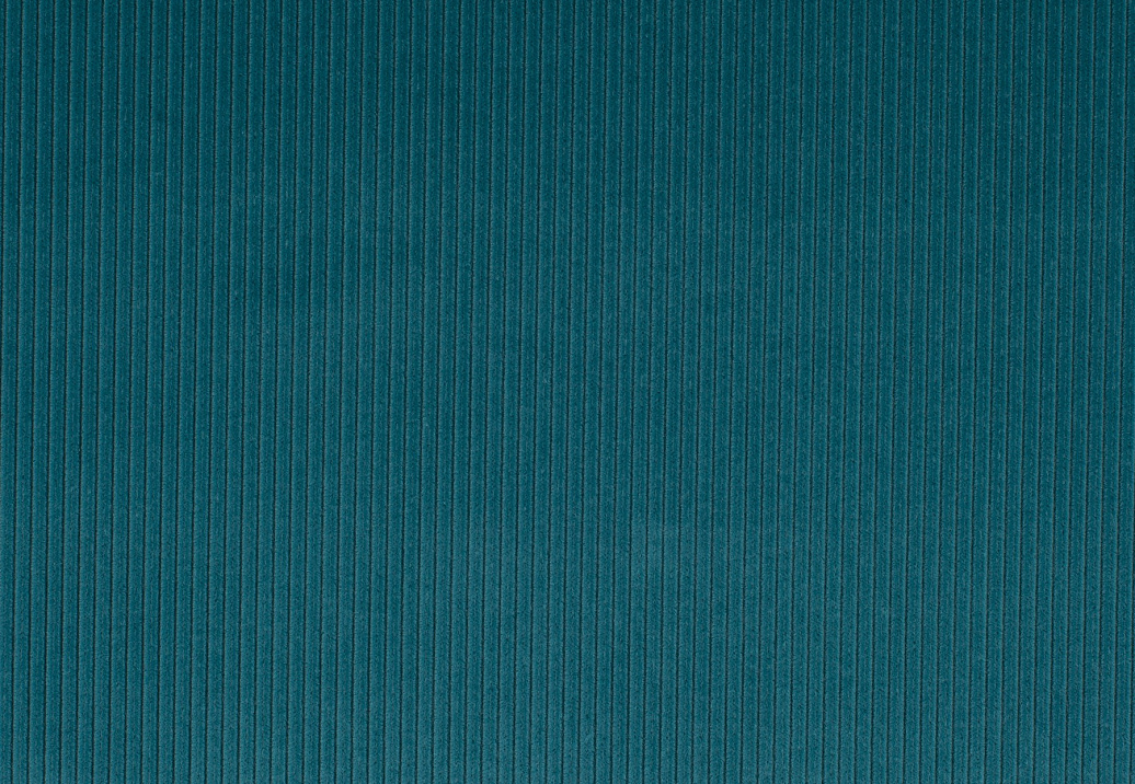 Ткань Jab Cord 1-3126-082