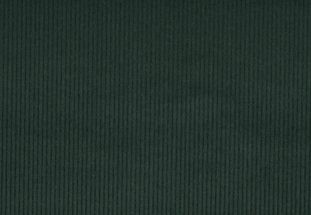 Ткань Jab Cord 1-3126-036