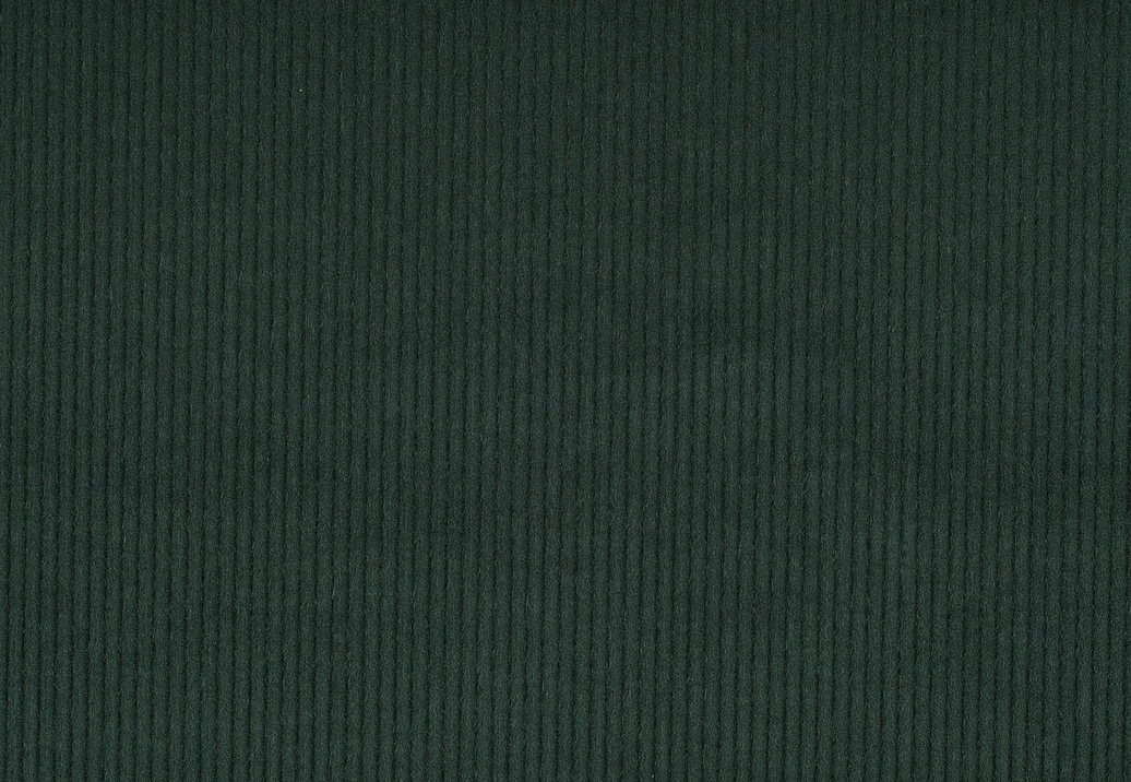 Ткань Jab Cord 1-3126-036
