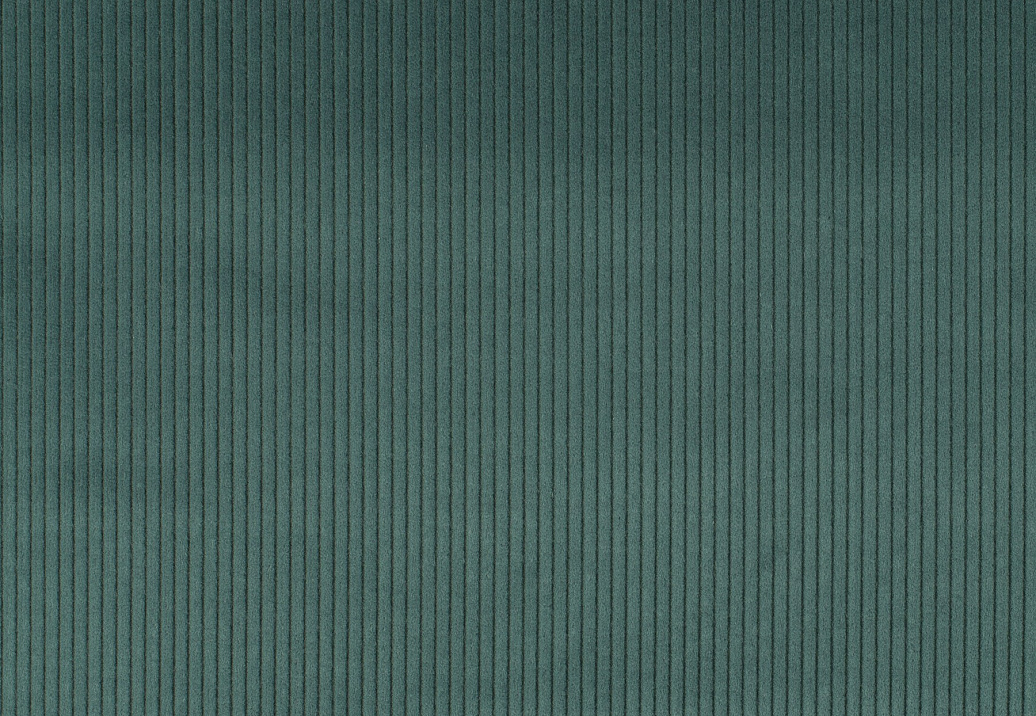 Ткань Jab Cord 1-3126-083