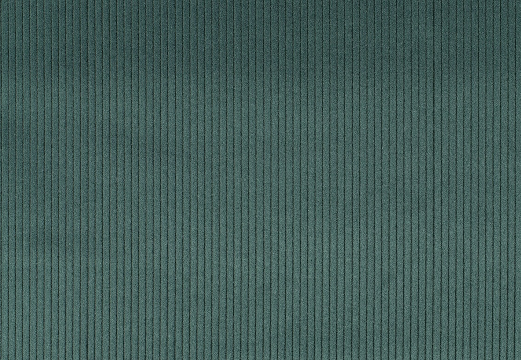 Ткань Jab Cord 1-3126-083