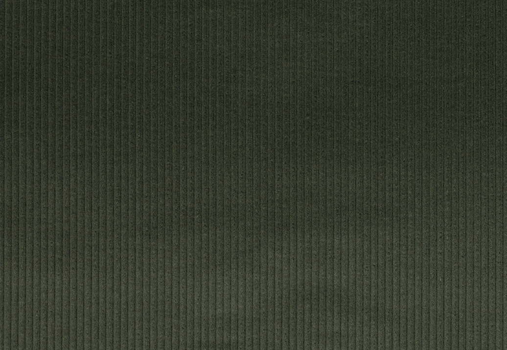 Ткань Jab Cord 1-3126-035