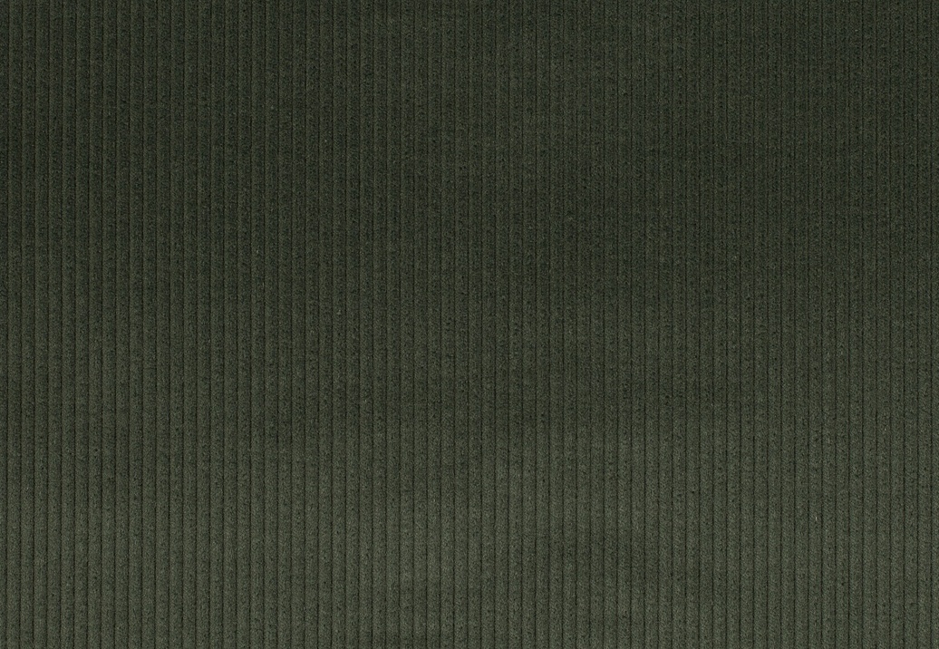Ткань Jab Cord 1-3126-035