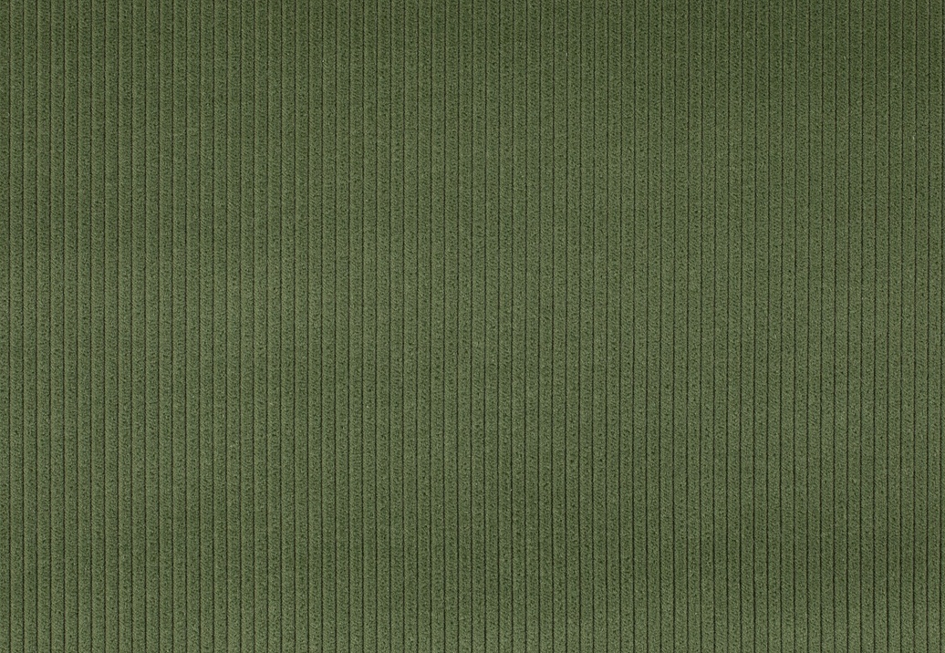 Ткань Jab Cord 1-3126-034