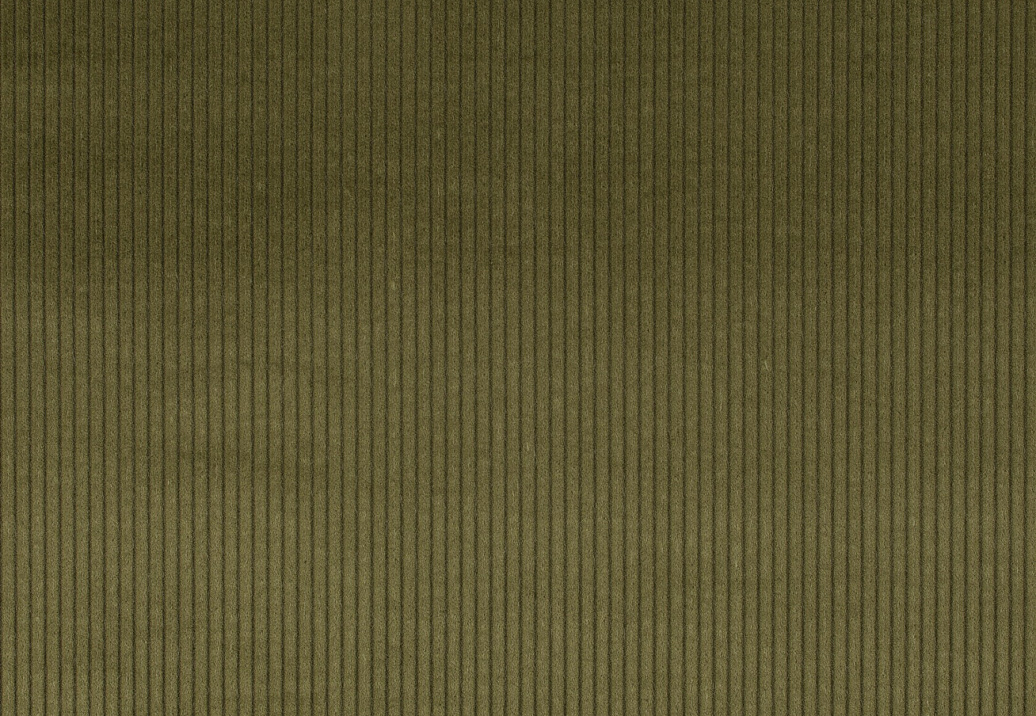 Ткань Jab Cord 1-3126-038