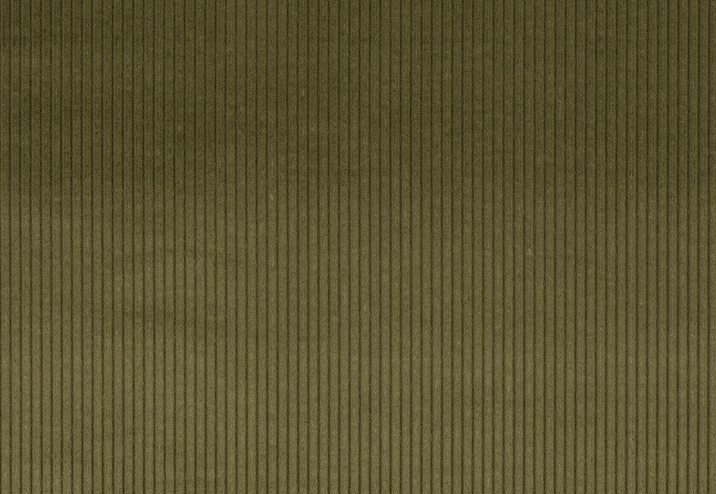 Ткань Jab Cord 1-3126-038