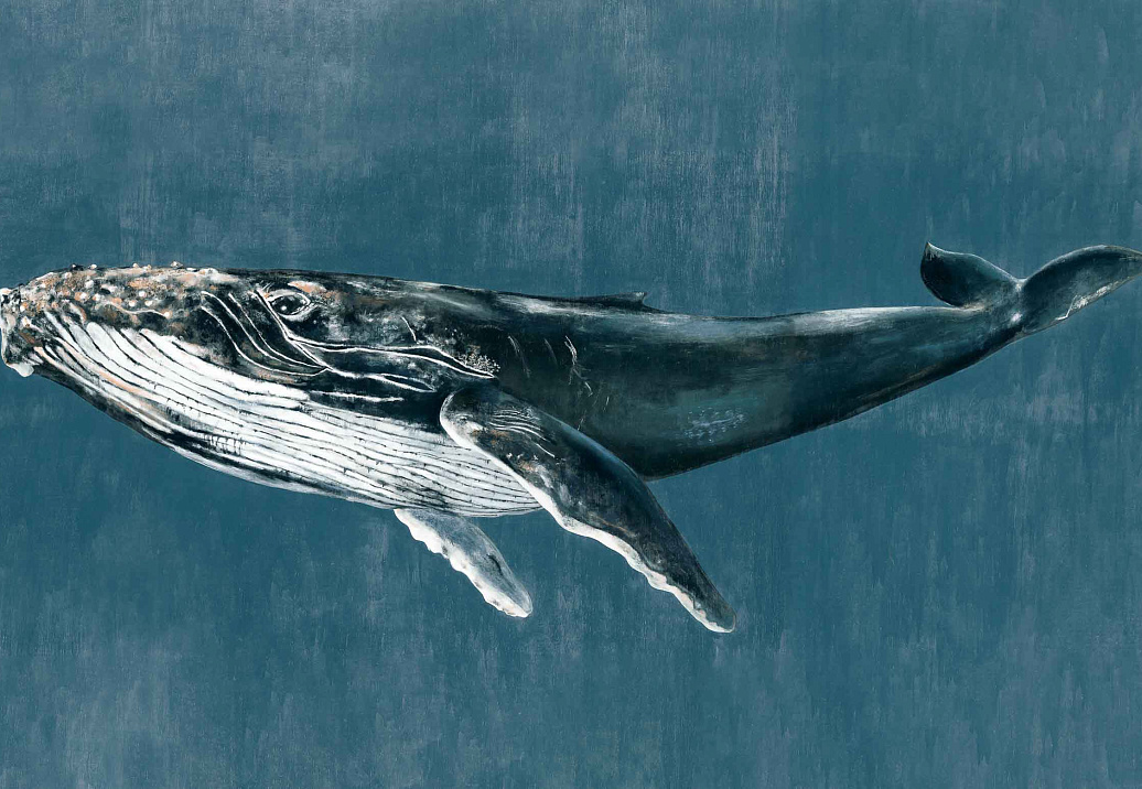 Панно и фотообои Coordonne Naturae 9500101N