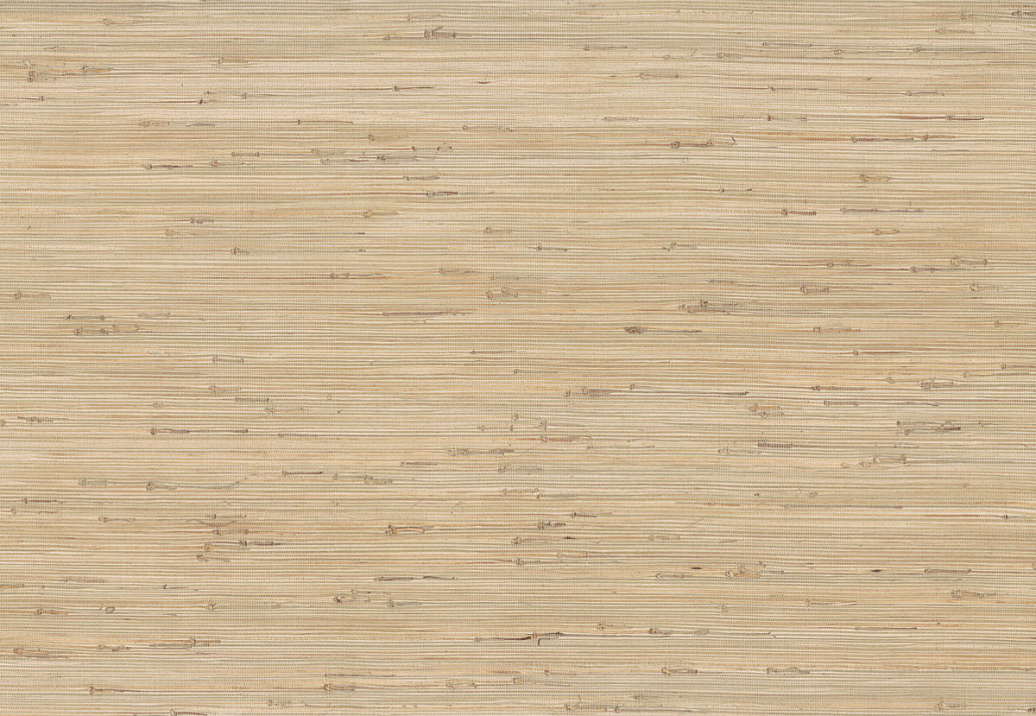 Обои York Ronald Redding Grasscloth & Natural Resource GV0231