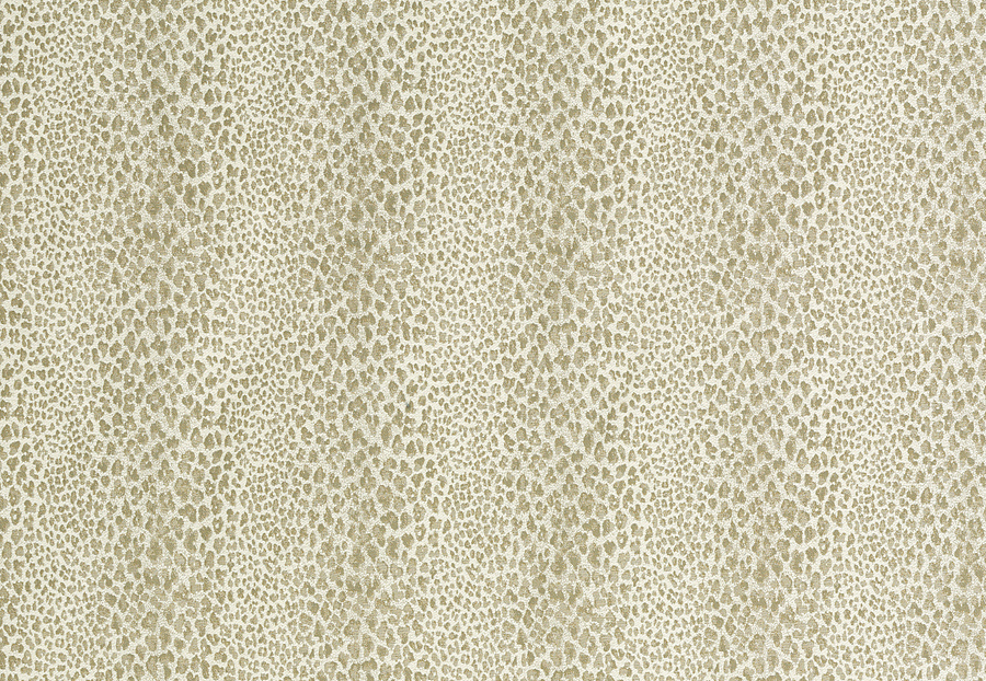 Ткань Nina Campbell Jacquet NCF4223/02