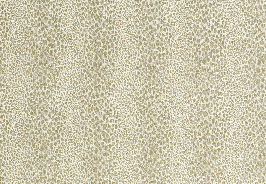 Ткань Nina Campbell Jacquet NCF4223/02