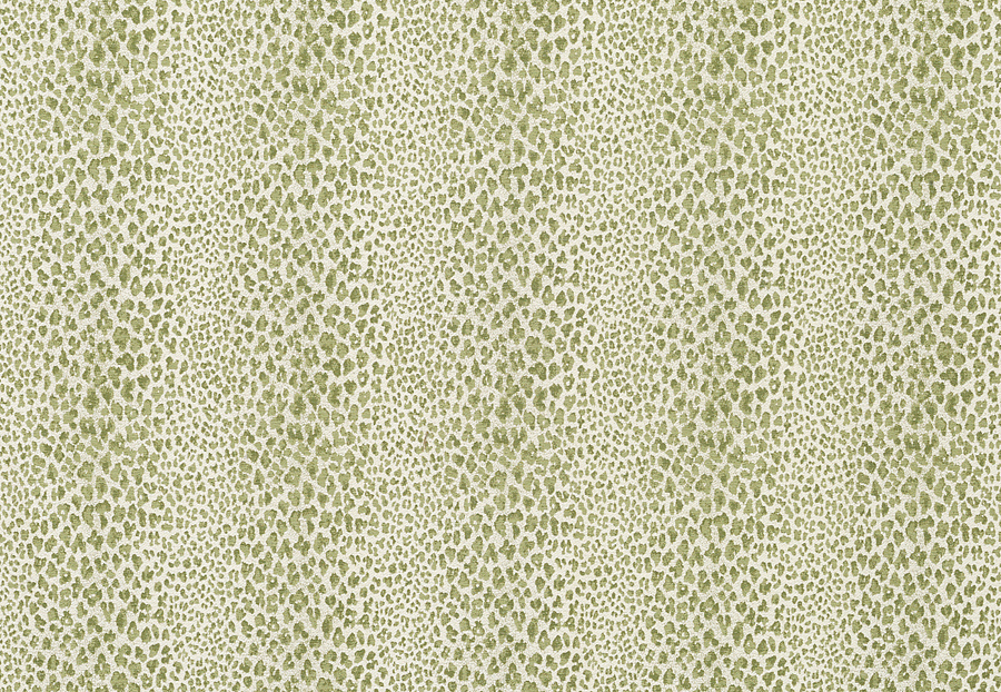 Ткань Nina Campbell Jacquet NCF4223/03