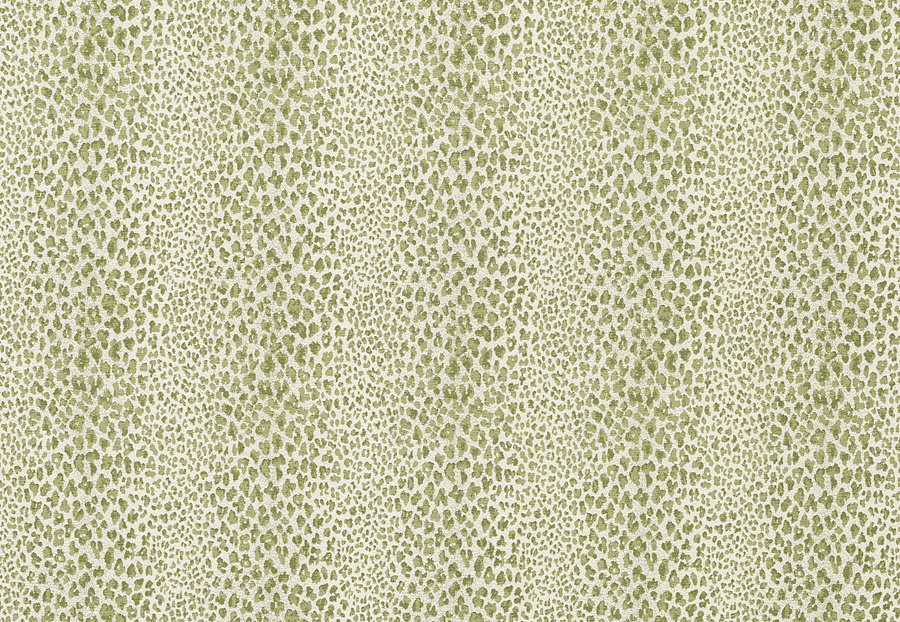 Ткань Nina Campbell Jacquet NCF4223/03