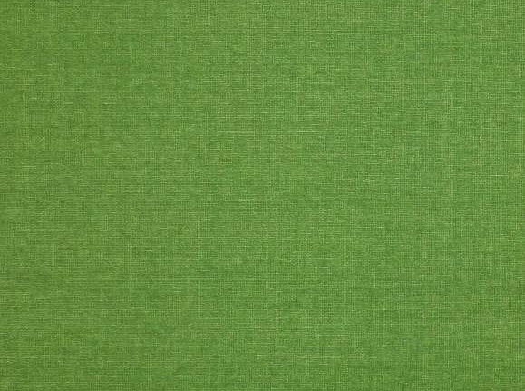Ткань Jane Churchill Kaya Velvet J0039/41