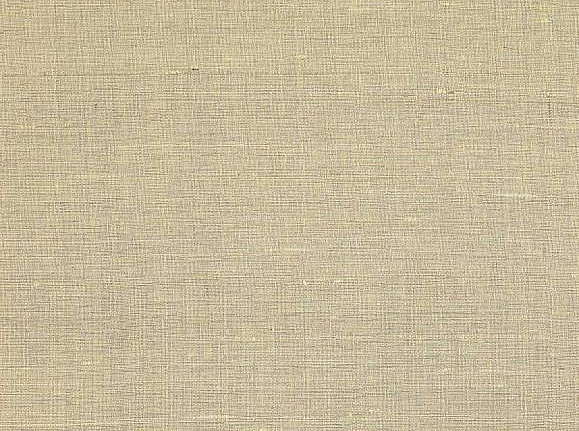 Ткань Colefax and Fowler Slucerne Silks F4638/03