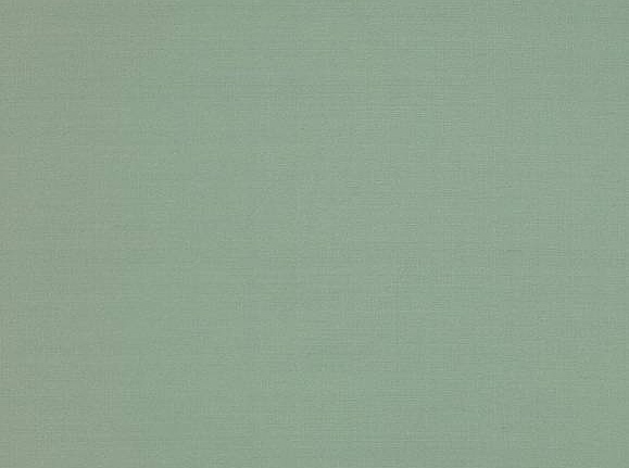 Ткань Colefax and Fowler Slucerne Silks F3931/73