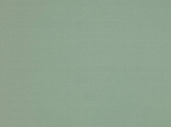 Ткань Colefax and Fowler Slucerne Silks F3931/73