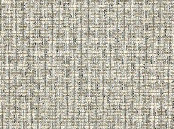 Ткань Colefax and Fowler Brett Weaves F4641/05