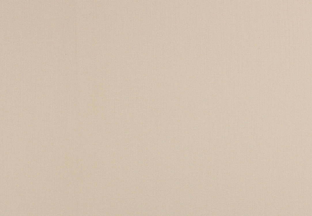 Ткань Creation Baumann Natura V Cotton Stipa/308