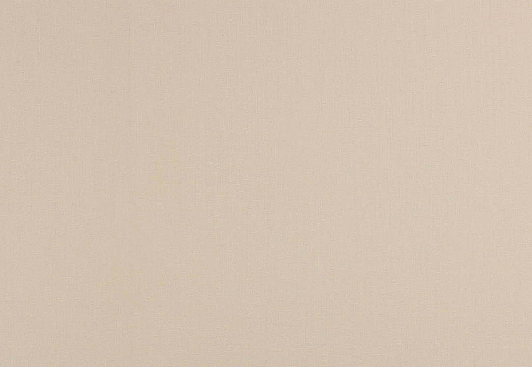 Ткань Creation Baumann Natura V Cotton Stipa/308