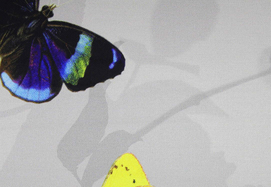 Ткань Creation Baumann Papillon Voile Papillon/91