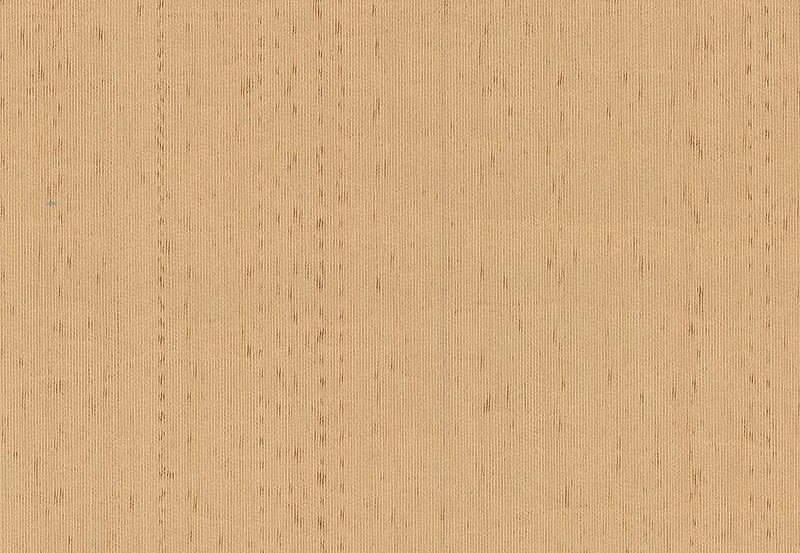 Обои Sangiorgio Texwall Line - Living TL204