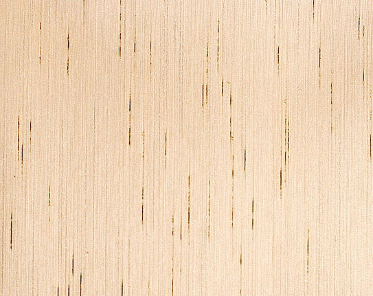 Обои Sangiorgio Texwall Line - Living TL52