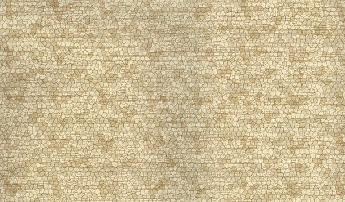 Обои Fresco Elegant SZ001412