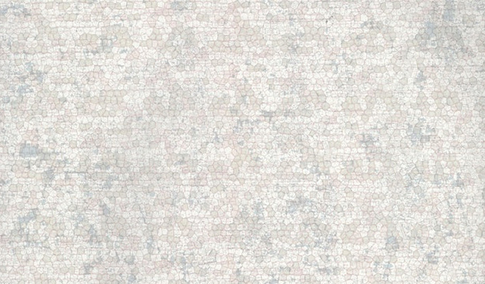 Обои Fresco Elegant SZ001414